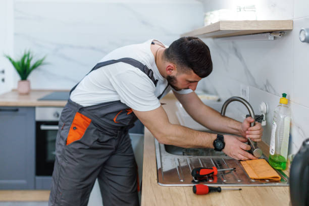 Best Plumbing Inspection Services  in Ray City, GA