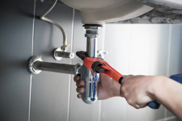 Best Plumbing Inspection Services  in Ray City, GA